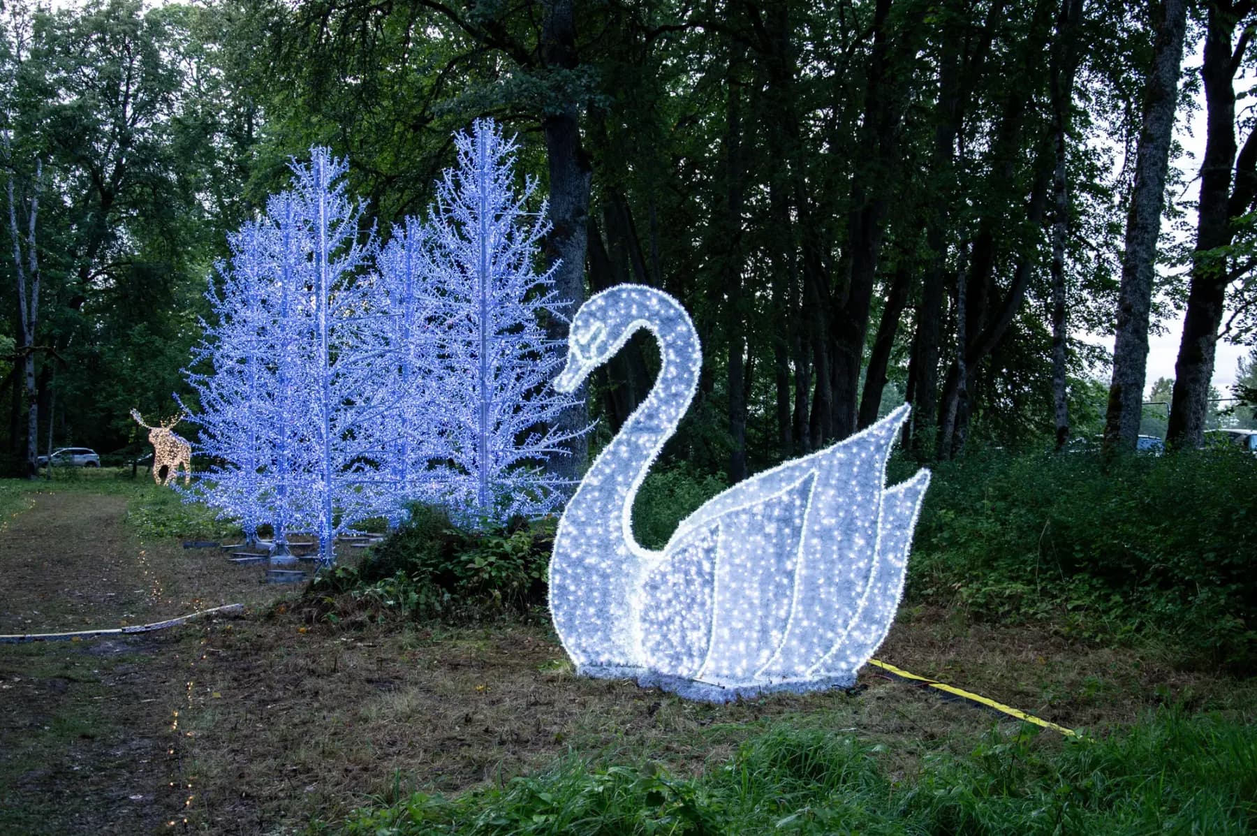 Illuminated sculptural display installed in a botanical garden