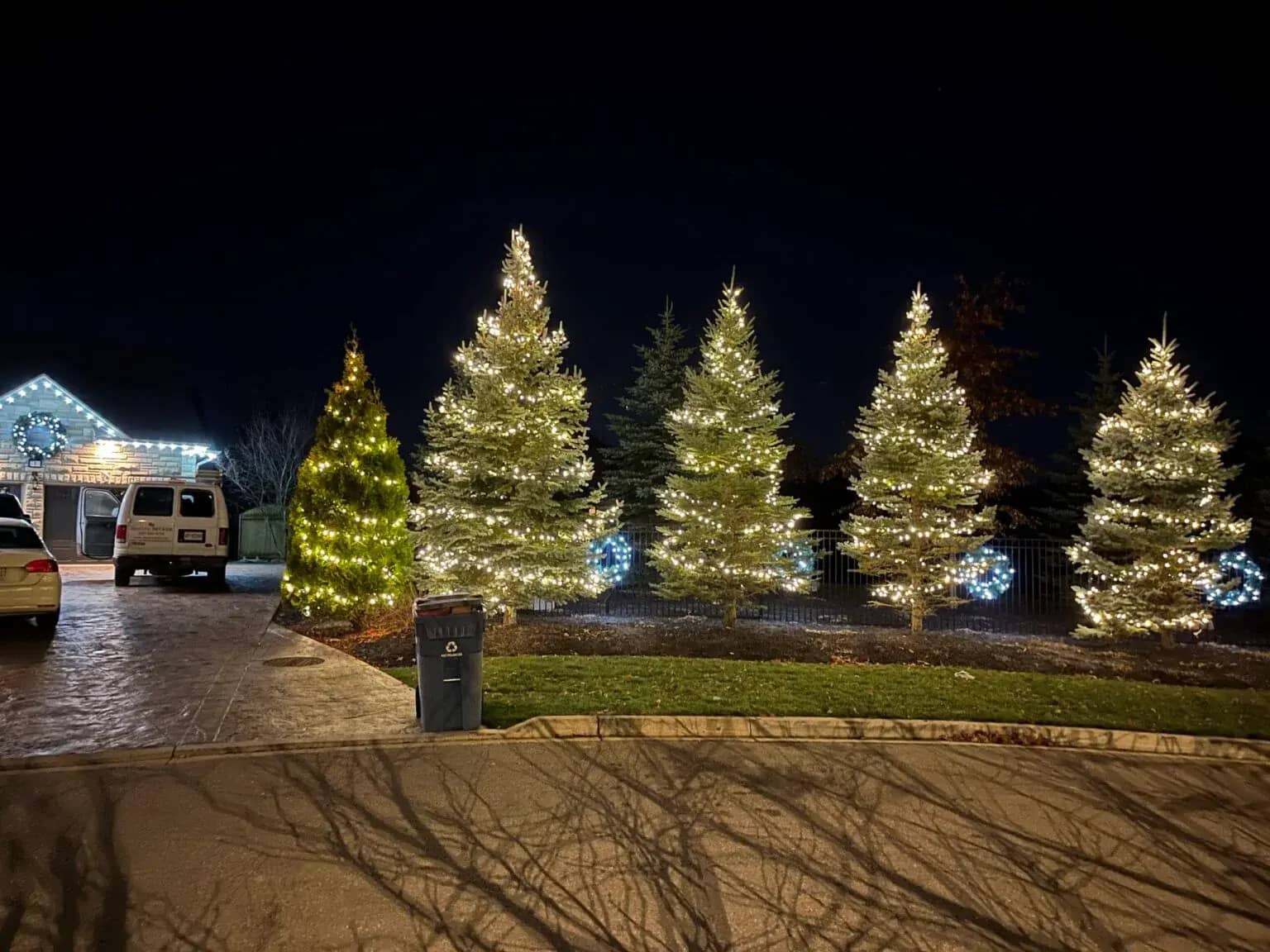 Row of large illuminated commercial Christmas trees lighting a property at night
