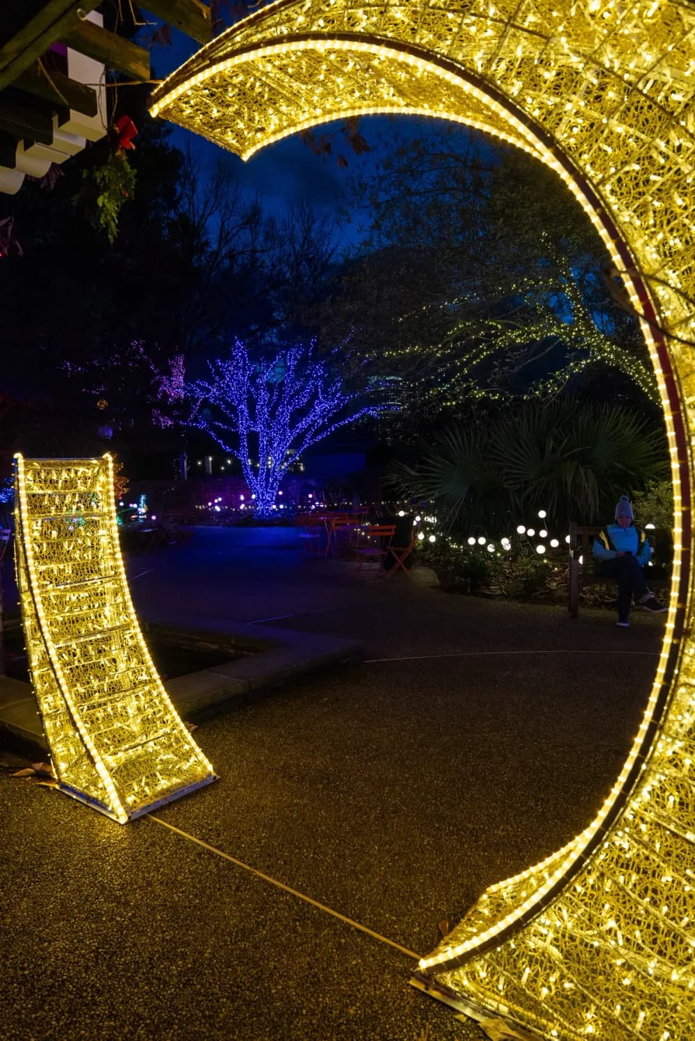 Illuminated sculptural display installed in a botanical garden