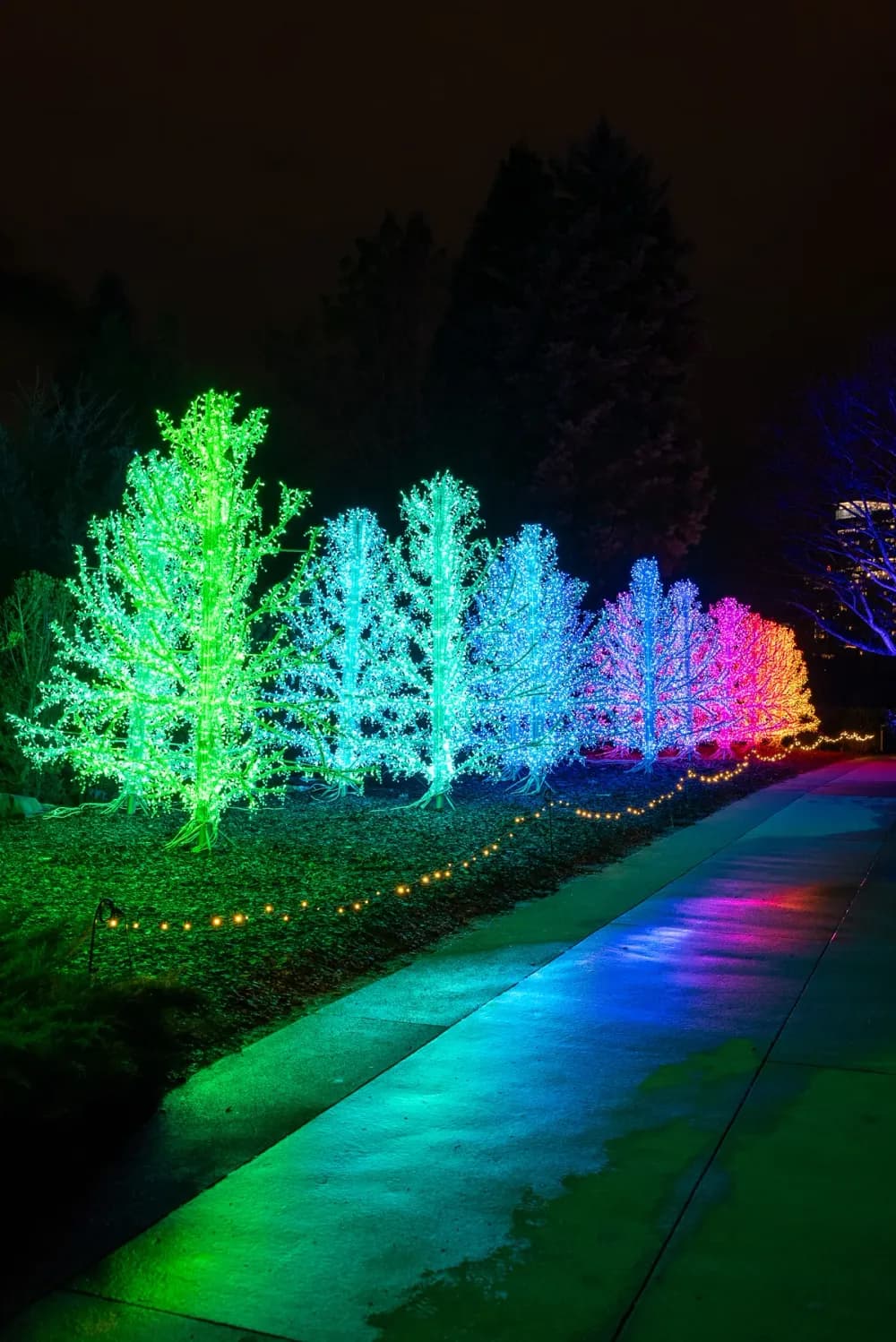 Illuminated sculptural display installed in a botanical garden