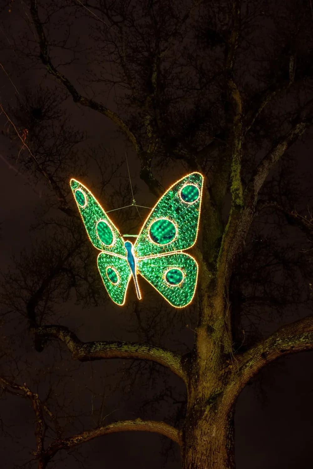 Illuminated sculptural display installed in a botanical garden