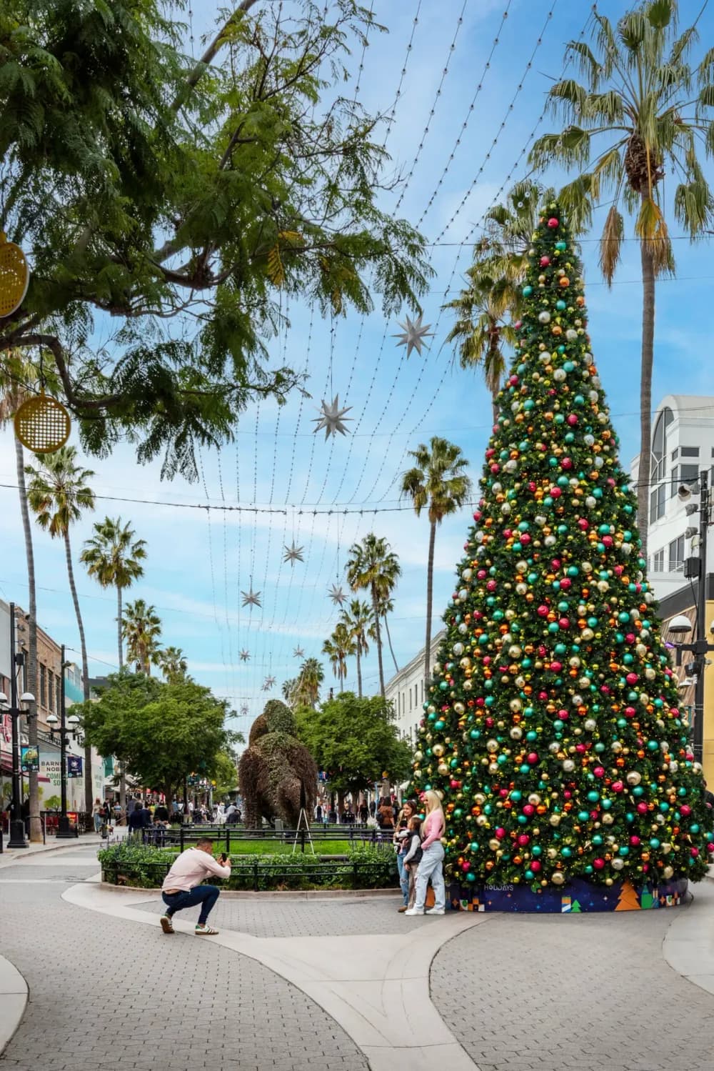 Giant commercial Christmas tree lighting a downtown square at night