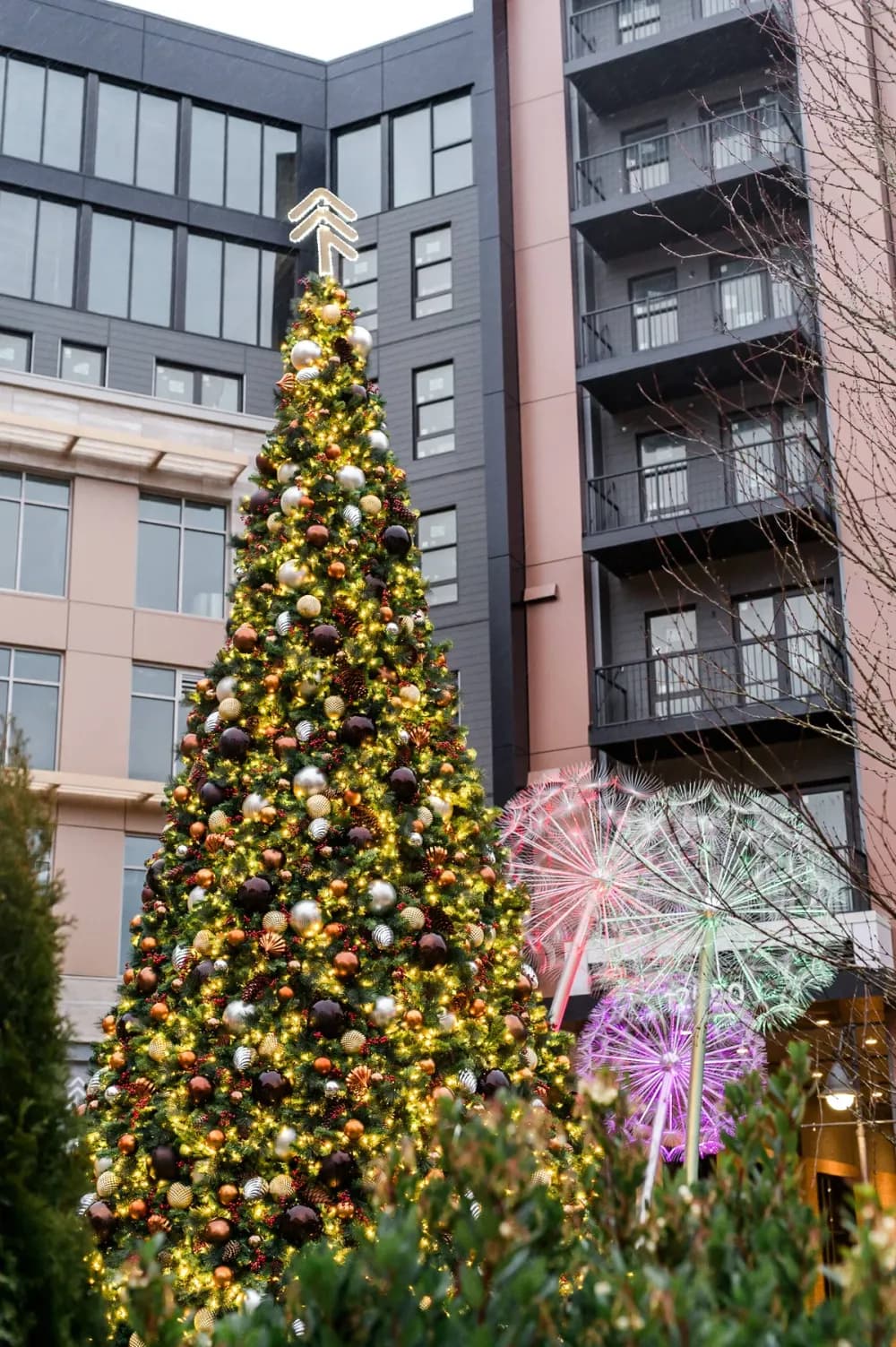Giant commercial Christmas tree lighting a downtown square at night